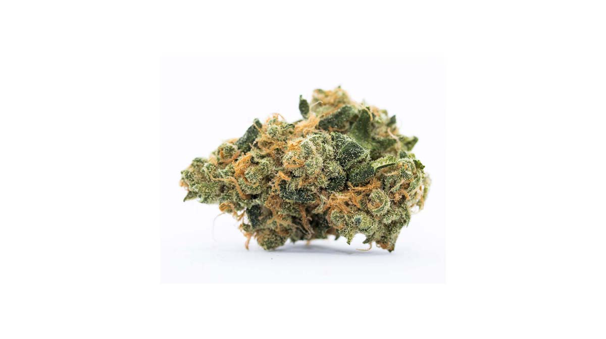 Cannabis bei Appetitlosigkeit: wie viel & welche Sorte hilft?