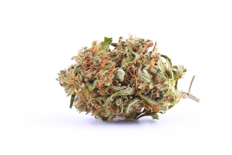 Beste fruchtige Cannabis Sorten: Aroma, THC & welche kaufen?