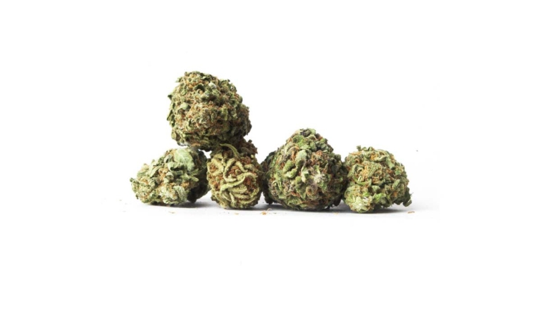 Sensi Skunk Sorte: Aroma, Anbau & Effekte