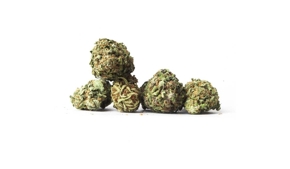 Sensi Skunk: Aroma, Anbau & Effekte
