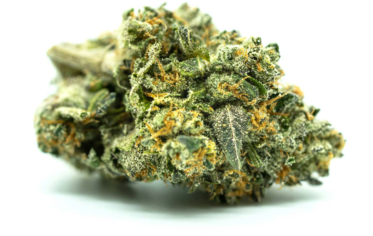 Cannabis Niederlande: BMC-Sorten, Qualität & Import