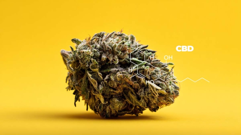 CBD im Gehirn: wie wirkt es, Rezeptoren & was passiert?