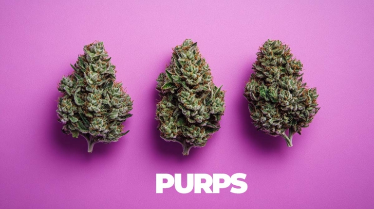 Cannabis Haartest: Wie lange nachweisbar & welcher Wert?