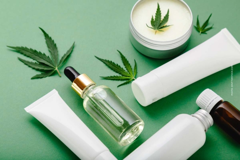 CBD Creme: Hochdosiert, Apotheke & DM: was wirkt besser?