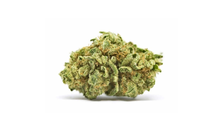 Blueberry Headband Sorte: THC-Gehalt, Effekt & wo kaufen?