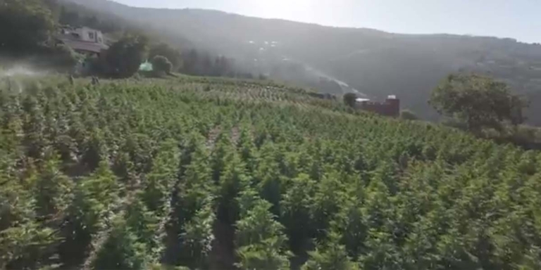 Cannabis Marokko: legal, Hotspots & Risiken für Urlauber