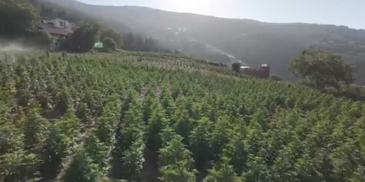 Cannabis Marokko: legal, Hotspots & Risiken für Urlauber