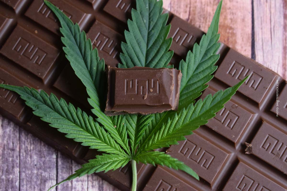 Cannabis Schokolade: Rezept, THC-Dosierung & wie infusionieren?