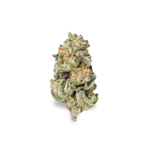 LA Baker x 33,0% THC | Remexian Pharma