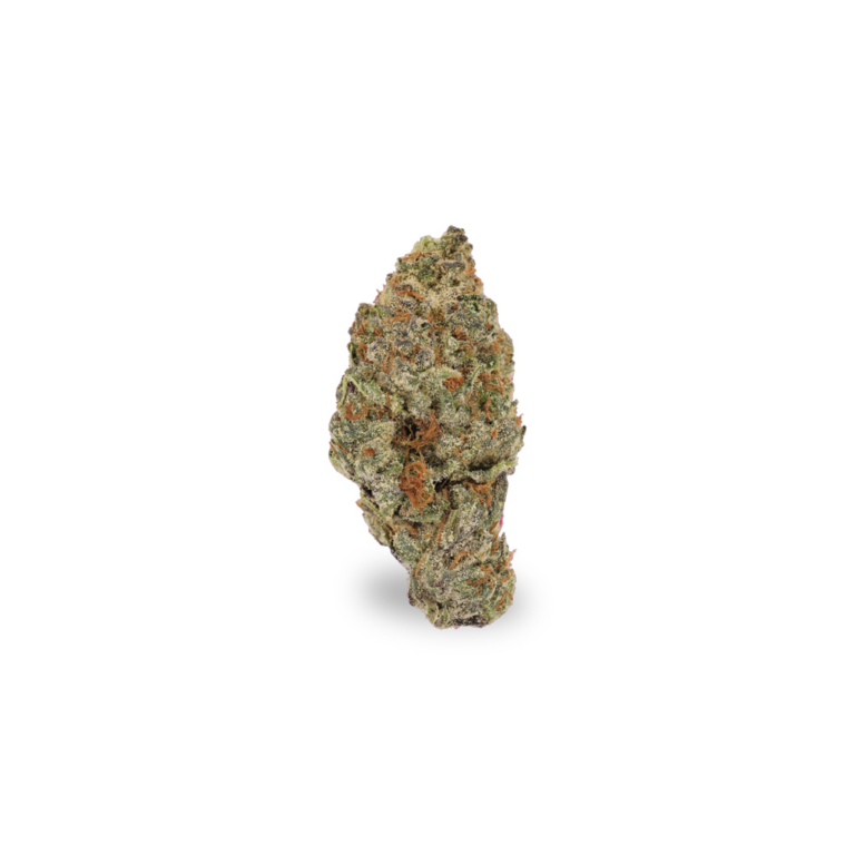 Orange Creampop x 24,0% THC | Cannamedical