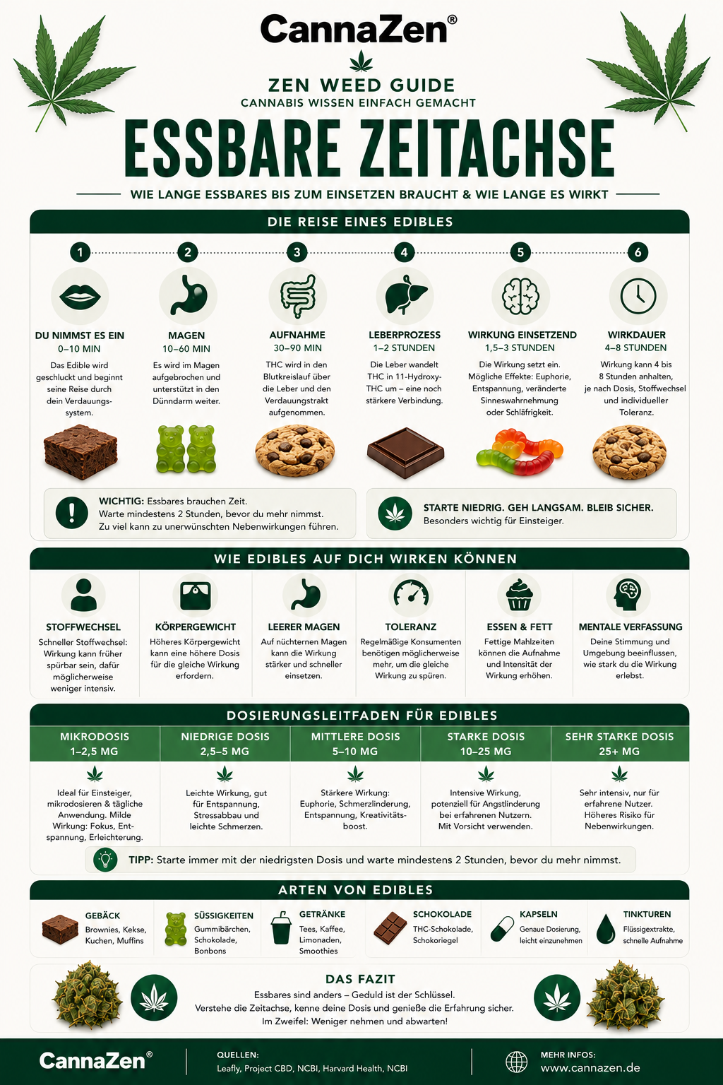 Cannabis Edibles Zeitachse Wirkungseintritt Dauer Dosierung Magen
