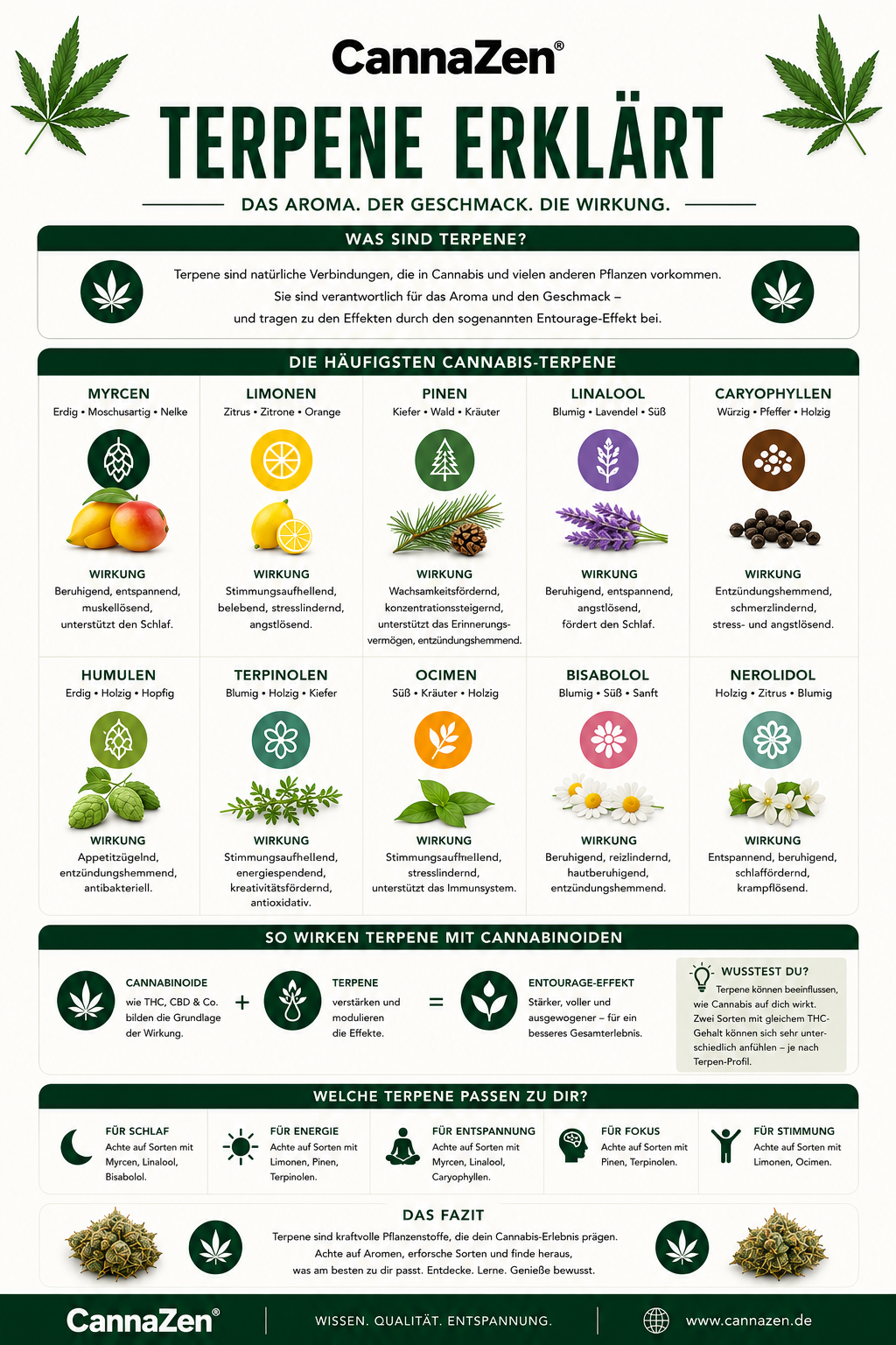 Cannabis Terpene Myrcen Limonen Linalool Caryophyllen Entourage Cannabis Terpene Myrcen Limonen Linalool Caryophyllen Entourage