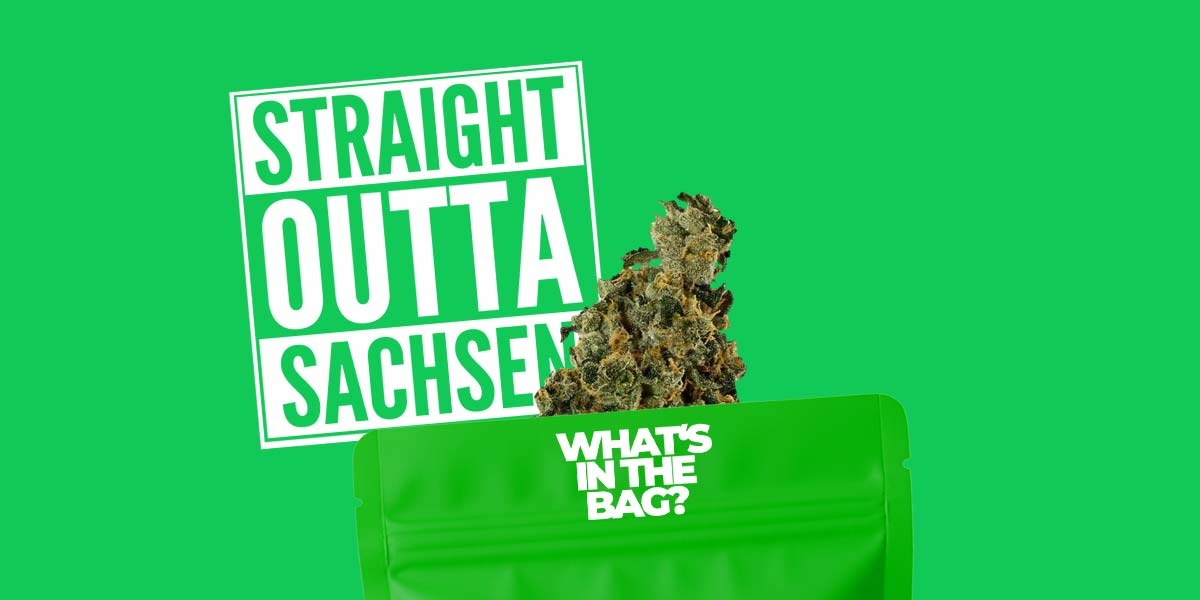 Cannabis in Sachsen: Demecan, Anbauvereine & die st&auml;rkste Hanf-Region Deutschlands
