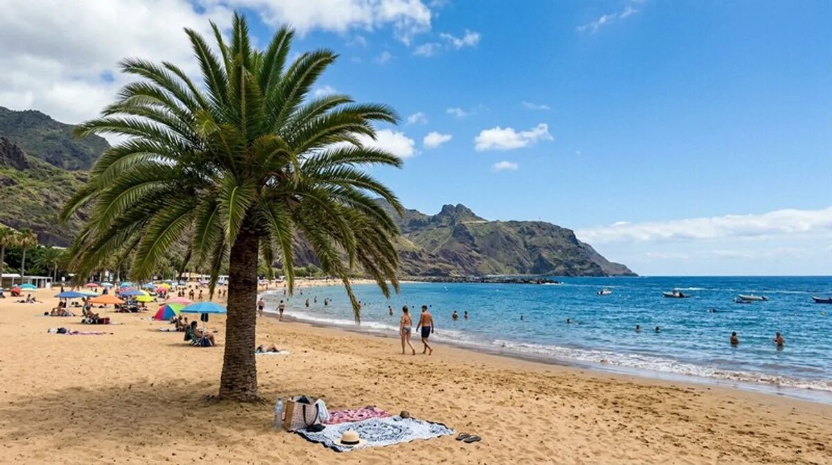 mittelmeer strand palme badegaeste berge