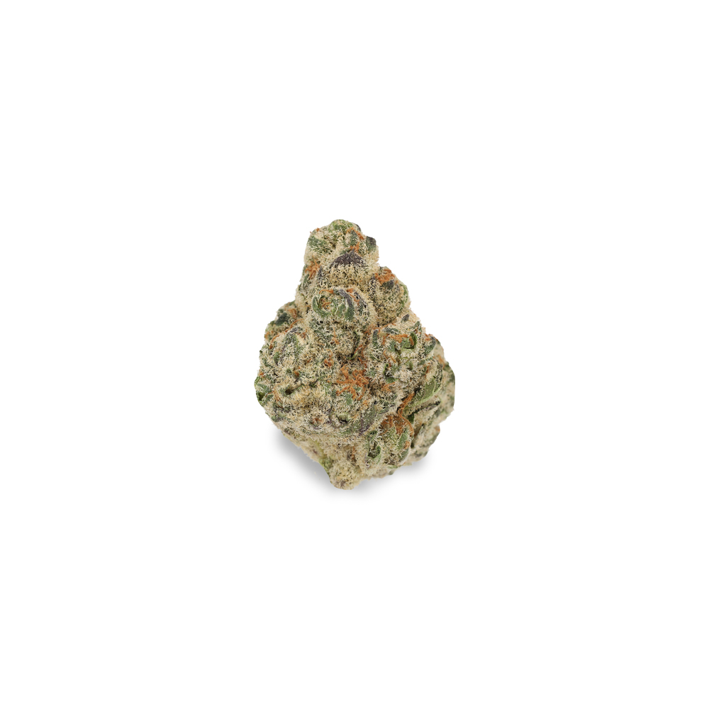 Biscotti Mintz Cannamedical
