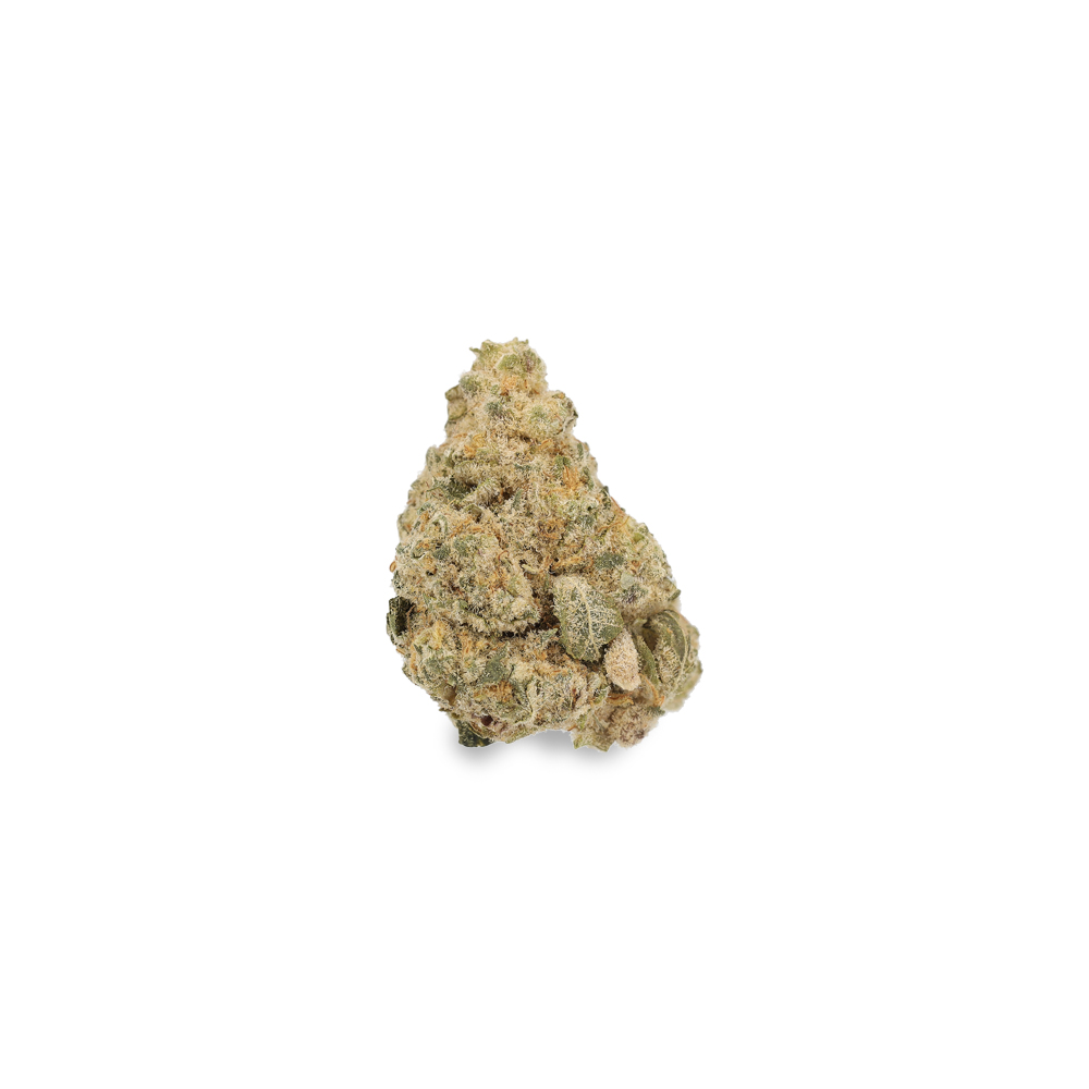 Larrys GMO - Luana