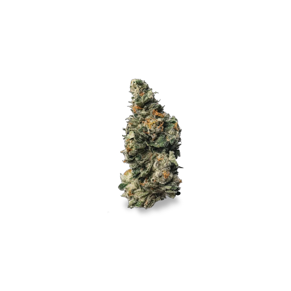 Cannabis Blüte Tropical Blues