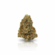 Carnez Citric x 24,0% THC | LUANA