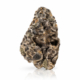 Purple Zoap x 27,0% THC | CannaZen