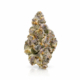 Velvet Peach x 23,0% THC | CannaZen
