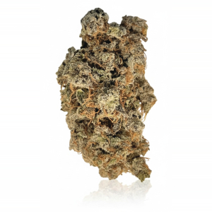 Glueberry x 24,0% THC | ADREXpharma