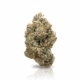 Alien Mint x 31,0% THC | ADREXpharma