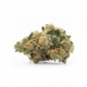 Amsterdam Amnesia 24%