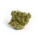 Apes in Space x 22,3% THC | ADREXpharma
