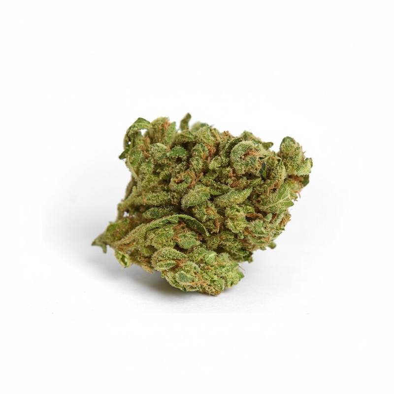 Apes in Space x 22,3% THC | ADREXpharma