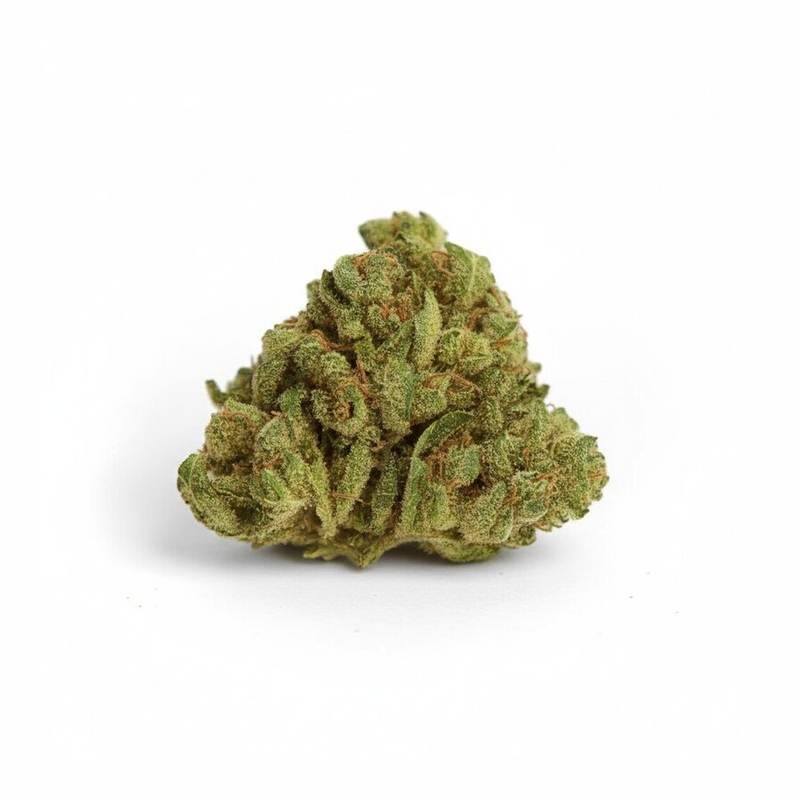 Apes in Space x 22,3% THC | ADREXpharma – Bild 2