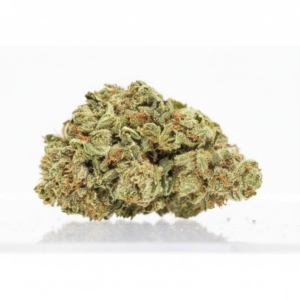 Bashengo x 24,0% THC | LUANA