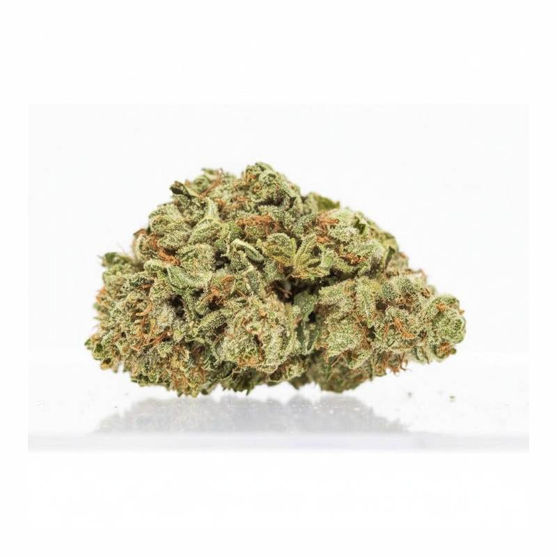Bashengo x 24,0% THC | LUANA