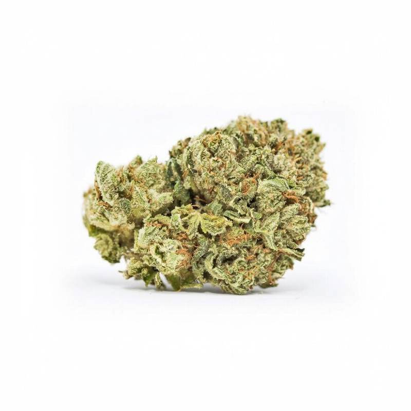 Bashengo x 24,0% THC | LUANA – Bild 2