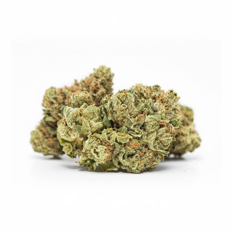 Bashengo x 24,0% THC | LUANA – Bild 3