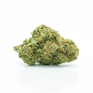 Black Cherry Punch x 16,0% THC | Cannamedical