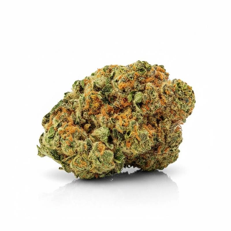 Black Cherry Punch x 24,0% THC | Cannamedical – Bild 2