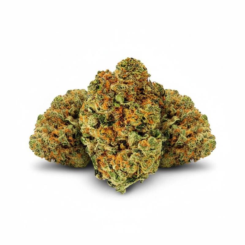 Black Cherry Punch x 24,0% THC | Cannamedical – Bild 3