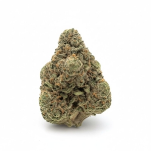 Black Marker x 26,0% THC | Demecan