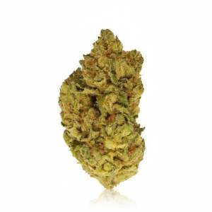 Carmelita x 24,0% THC | Cannamedical