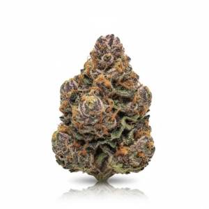 Chatterbox x 26,0% THC | ADREXpharma