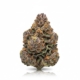 Chatterbox x 26,0% THC | ADREXpharma