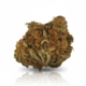 Cheddar Skunk x 17,0% THC | Cannamedical