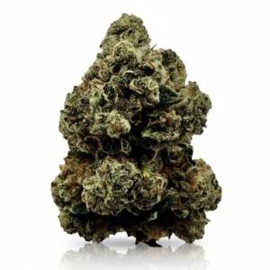 Chem Dawg OG x 27,0% THC | Slouu