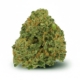 Chemdawg OG x 25,0% THC | Cantourage