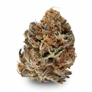 Citron Biker Cookies x 27,0% THC | Slouu