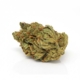 Cookies Kerosene Punch x 20,0% THC | Cannamedical