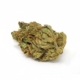 Cookies Kerosene Punch x 24,0% THC | Cannamedical