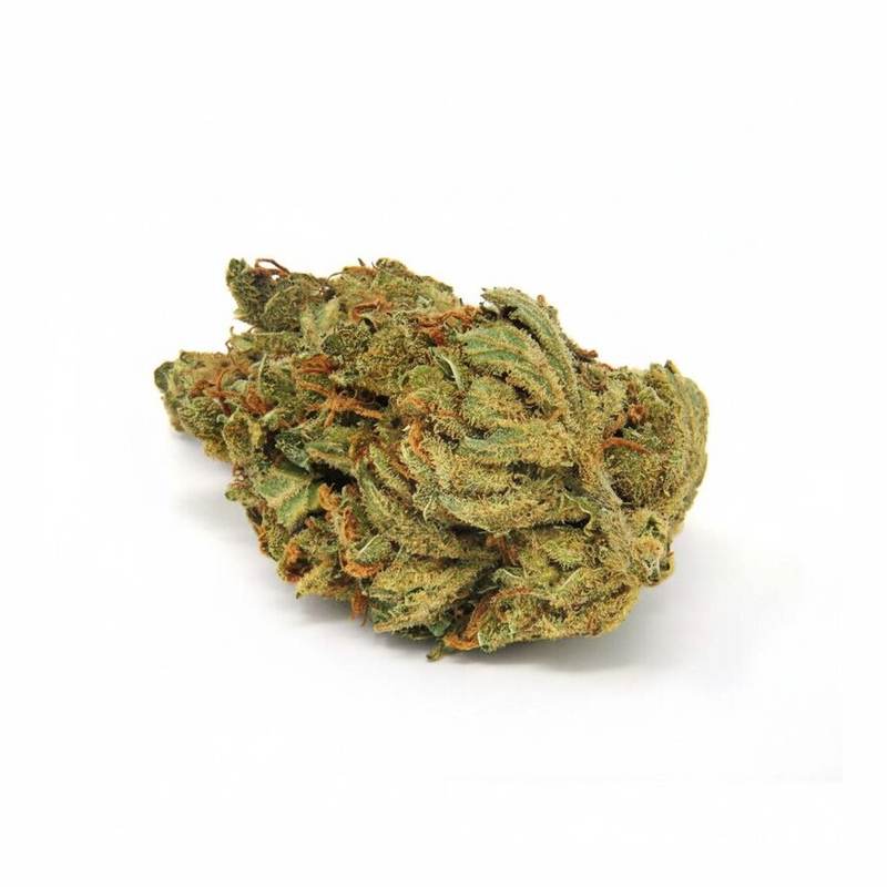 Cookies Kerosene Punch x 24,0% THC | Cannamedical