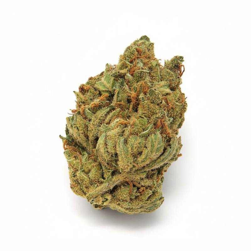 Cookies Kerosene Punch x 24,0% THC | Cannamedical – Bild 2