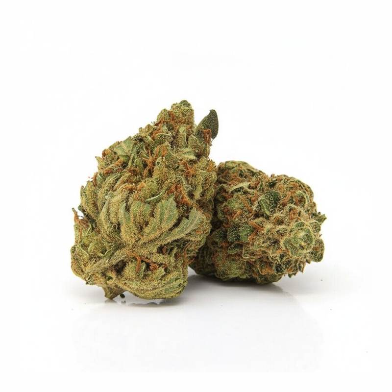Cookies Kerosene Punch x 24,0% THC | Cannamedical – Bild 3